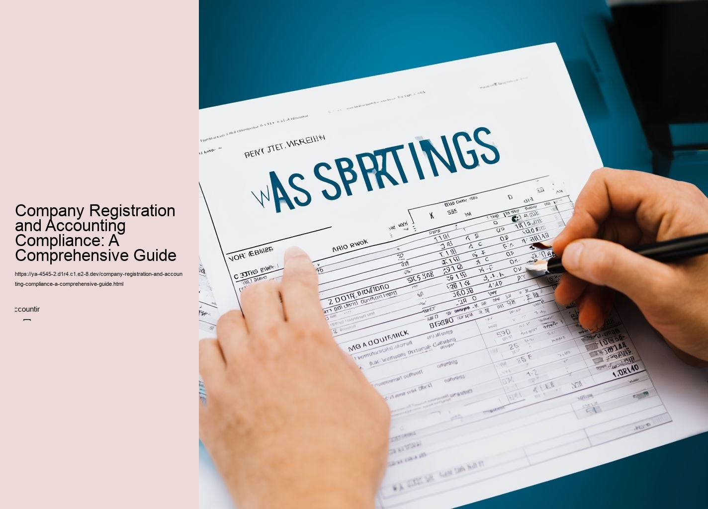 Company Registration and Accounting Compliance: A Comprehensive Guide