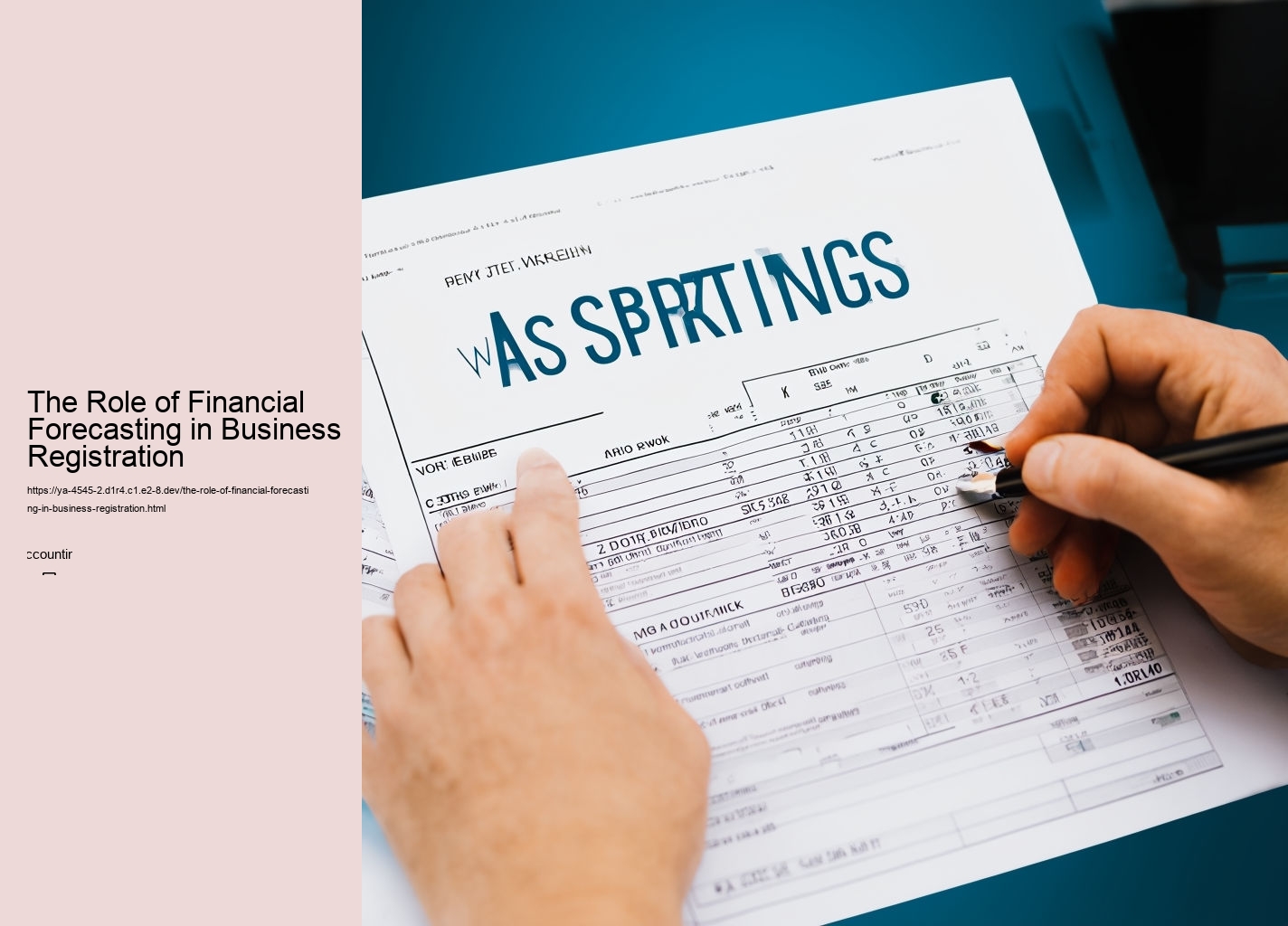 The Role of Financial Forecasting in Business Registration